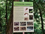 15 La fauna della Valle del Giongo